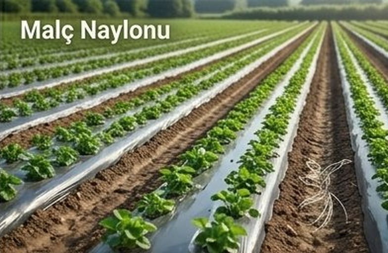 Malç Naylonu