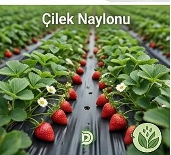 Çilek Naylonu